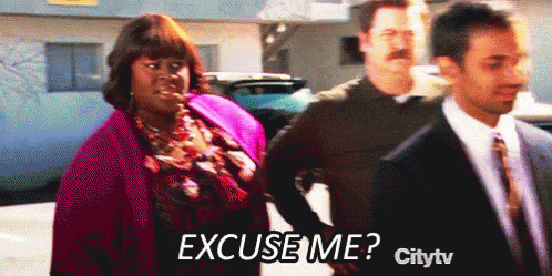 Parks And Rec Rhetta GIF