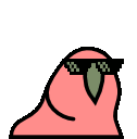 Parrot Party Sticker