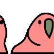 Parrot Rainbow Sticker