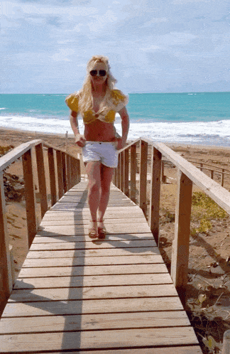 Party Celebrate GIF