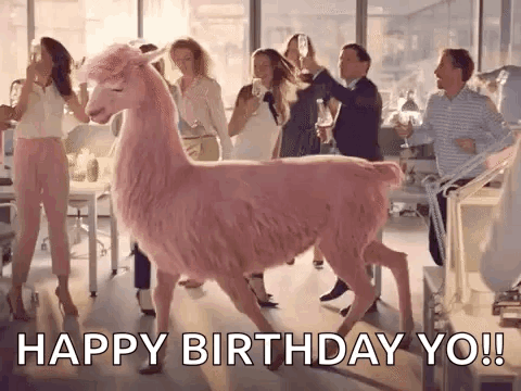 Party Llama GIF. This 480 x 360 animated GIF is part of our lhama cuspindo collection. Related themes include happy, party. Created by HumpFurrs. View the…