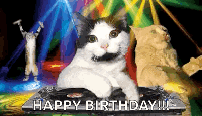 Party Party Time GIF