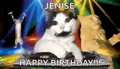 Party Party Time GIF