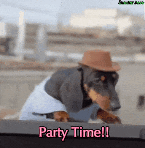 Party Time Dog Party GIF