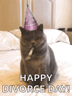 Party GIF
