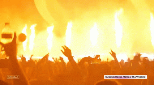 Partying Swedish House Mafia GIF