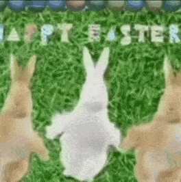 Pascua GIF