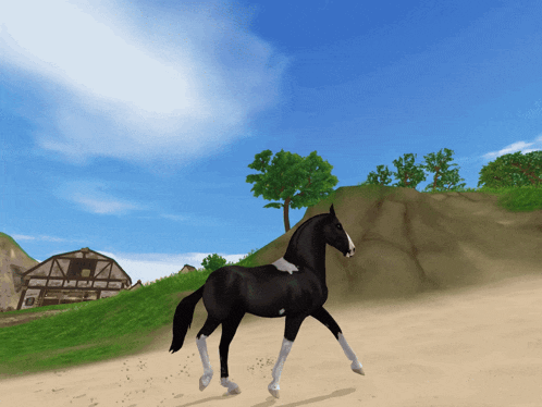 Pasofino Sso GIF
