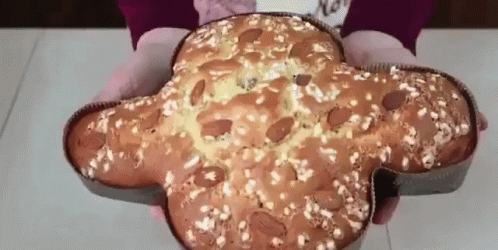 Pasqua Buona Pasqua Colomba Pasquale Dolce Tipico Italiano GIF
