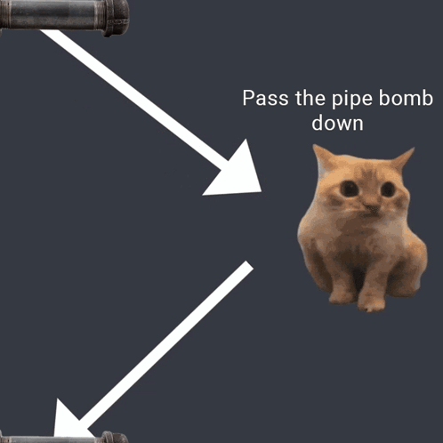 Pass The Pipe Bomb Down Cat GIF