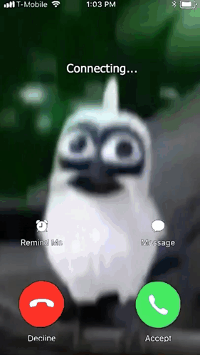 Passaro Explodindo GIF