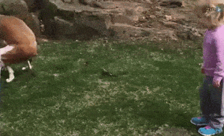 Pat On The Back Little Girl GIF