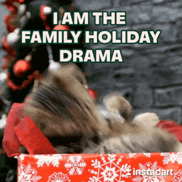 Pawlidays Christmas GIF