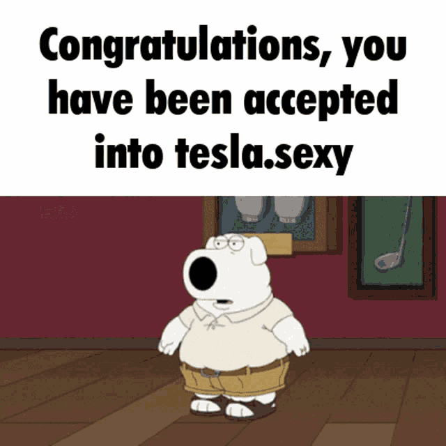 Payshost Clippygg GIF