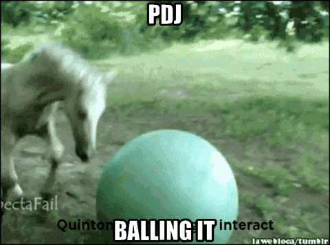 Pdj Balling It GIF