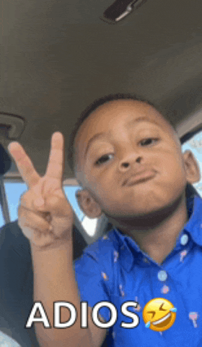 Peace Out Bye Meme