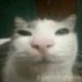 Peace Peace Out GIF