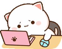 Peach Cat Sticker