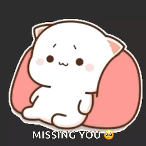 Peach Cat GIF