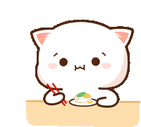 Peach Cat Sticker