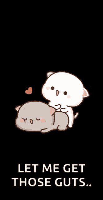 Peach Cats Heart GIF