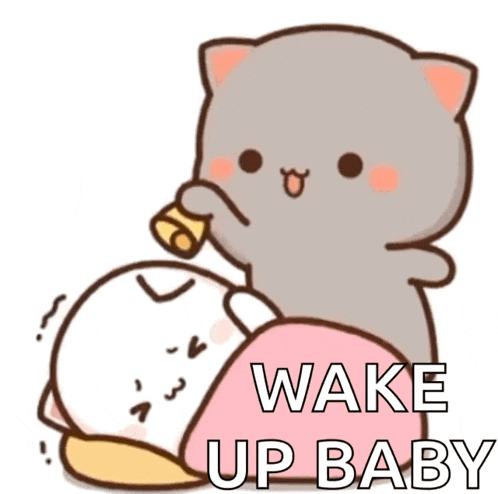 Peach Goma GIF