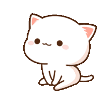 Peachcat Cats Sticker