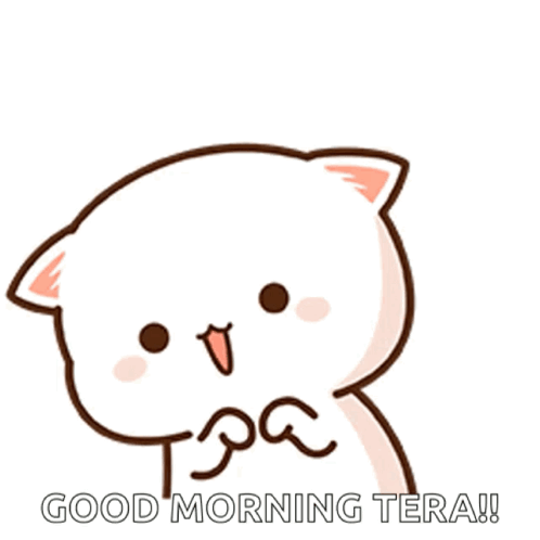 Peachcat Cute GIF