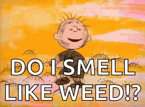 Peanuts Pig Pen GIF. This 486 x 360 animated GIF is part of our pigpen charlie brown collection. Related themes include dance. Created by rkhadland. View…