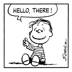 Peanuts Rerun Meme