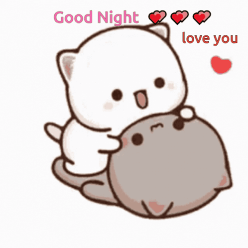 Peatch Cat GIF