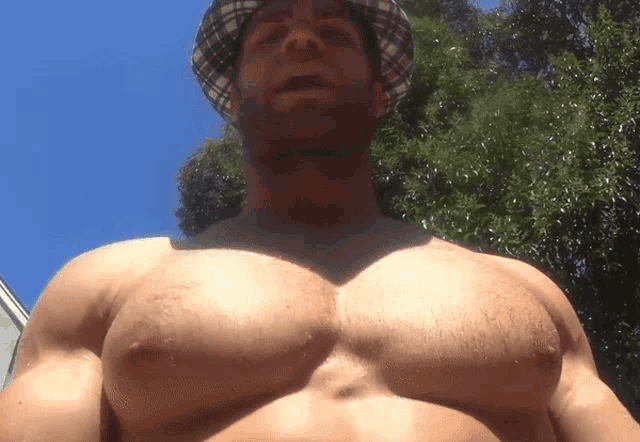 Pecs Big Pecs GIF