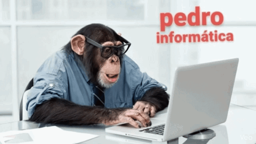 Pedro Informatica Macaco Ti GIF. This 498 x 281 animated GIF is part of our soy programador collection. Created by PEDROppin. View the original animation…