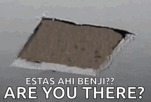 Peek Cat GIF