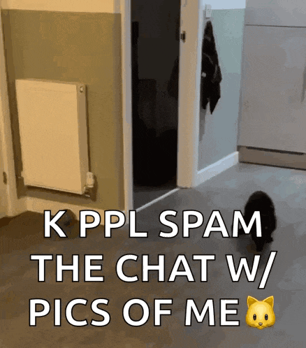 Penesme Black Kitten GIF
