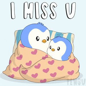 Pengu Pudgy GIF