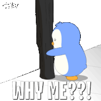 Pengu Pudgy Sticker