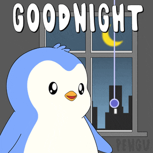 Pengu Pudgy GIF