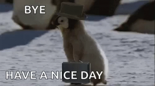 Penguin Artic GIF