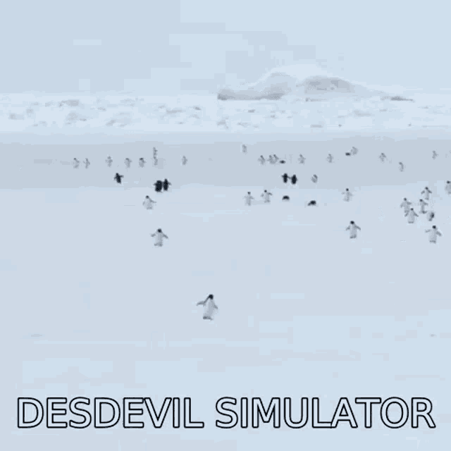 Penguin Desdevil GIF