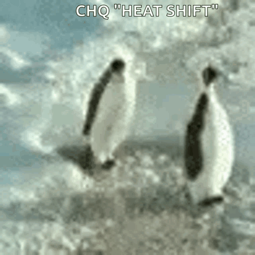 Penguin Penguins GIF