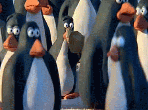 Penguin Stress Breakthing GIF