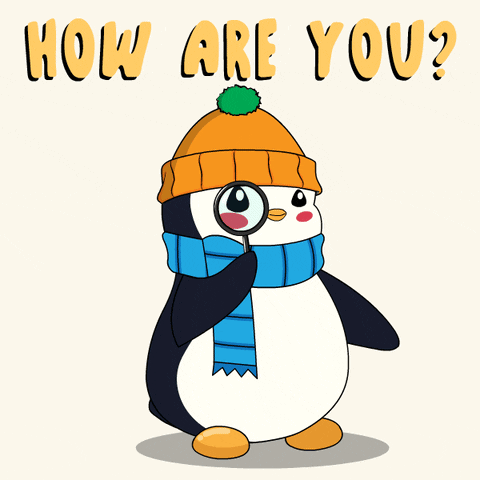 Penguin Sup GIF