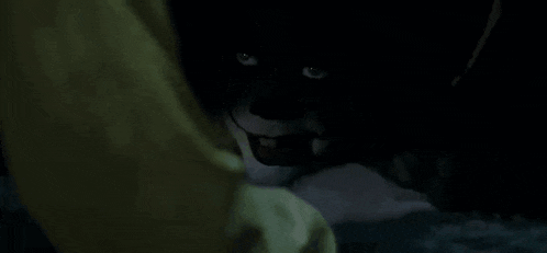 Penny Wise It Movie GIF