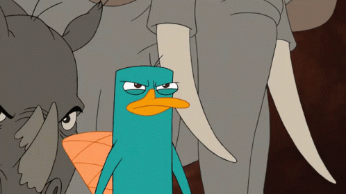 Perry The Platypus Phineas And Ferb GIF