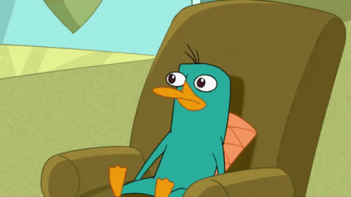 Perry The Platypus Phineas And Ferb GIF