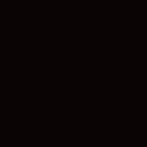 Perseverance GIF