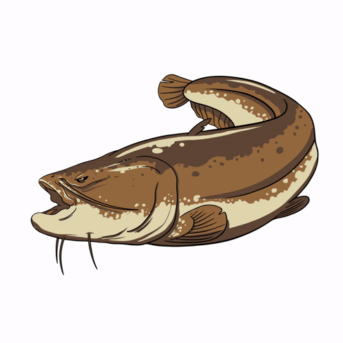 Pesca Fishing GIF