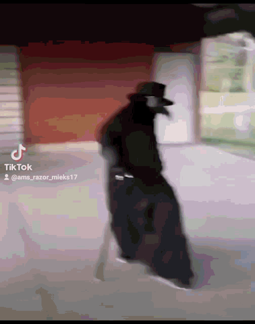 Pest Sohnemannchen GIF