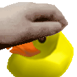 Pet Duck Sticker